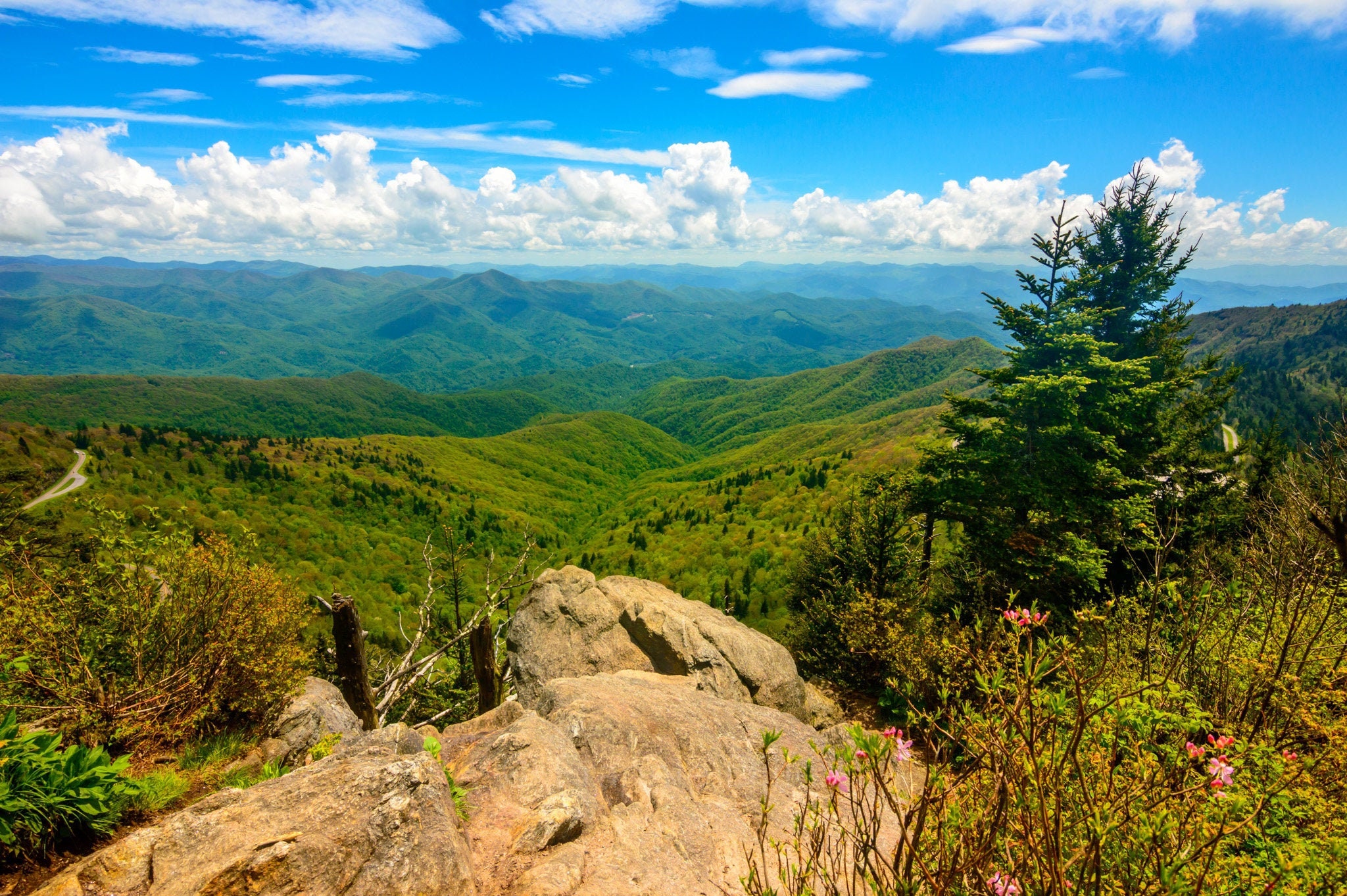 Waterrock Knob, Mountains, Spring, Scott Creek, Blue Ridge Parkway, North Carolina, Landscape