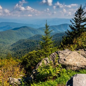 Clingmans Dome, Newfound Gap, Hiking, Appalachian Trail, Pine Trees, Mountain, North Carolina, Landscape Photograph..