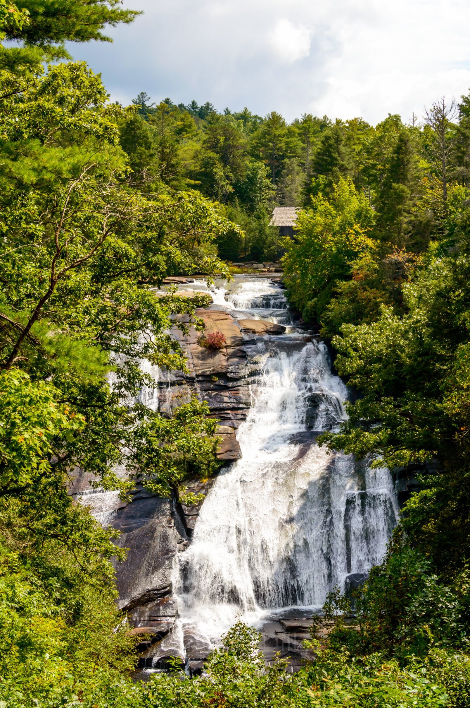 High Falls Dupont State Forest Waterfall Landscape Etsy