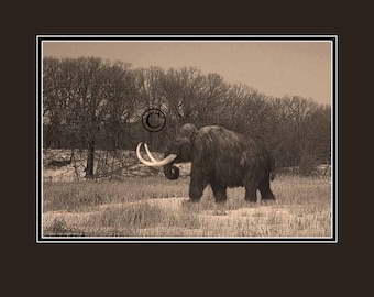 Time Traveler Photographs of Mammoth and Mastodon FREE SHIPPING!
