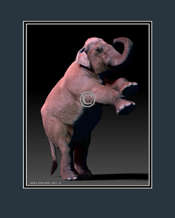 Circus Elephant Rearing up or Standing on Two Legs Full Color - Etsy