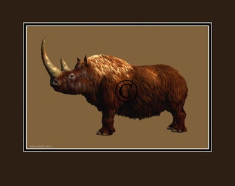 Woolly Rhinoceros Ice Age extinct Rhino Digital Download print beautiful! FREE SHIPPING!