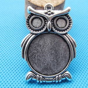 Puede incluir: Colgante de búho de plata con un camafeo redondo en blanco. El búho tiene ojos y plumas detallados.