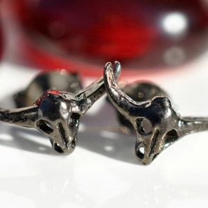 Southwest inspired longhorn cow skull stud earrings in dark chocolate