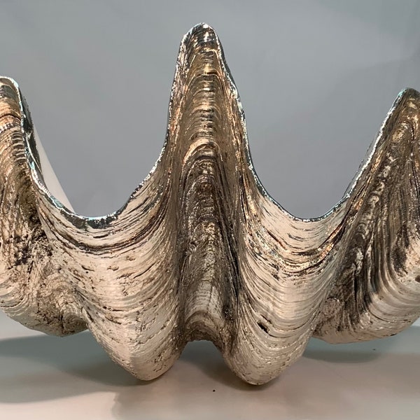 Giant Clam Shell - Etsy