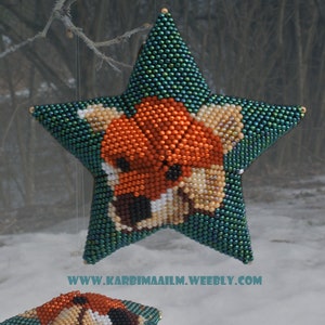 Little fox peyote star