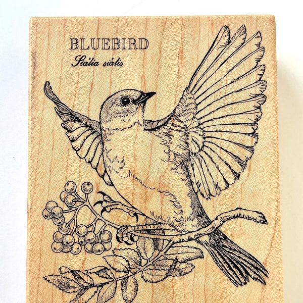 Vintage Gently-Used PSX Bluebird on Berry Branch Mounted Wooden Rubber Stamp, bird stamps,  PSX stamps, vintage stamp, nature stamp