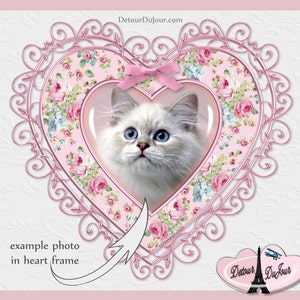 May include: A white kitten with blue eyes peeks out of a pink heart-shaped frame with a floral pattern. The frame is decorated with a pink bow and intricate scrollwork.