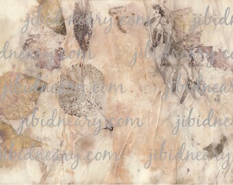 May include: A close-up of a beige textured background with brown leaf patterns. The background is covered with the text "jibidneary.com" repeated multiple times.