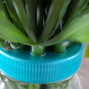 Plastic Mason Jar Flower Frog Lids - Flower Arrangement Lid
