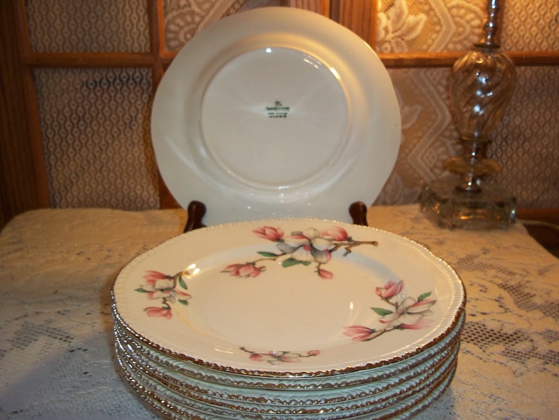 Homer Laughlin Dogwood Pattern Dinner Plates 8 Available with the Liberty Gold Ribbed Edge Vintage 1950/'s Very Good Condition Replacements