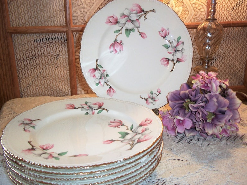 Homer Laughlin Dogwood Pattern Dinner Plates 8 Available with the Liberty Gold Ribbed Edge Vintage 1950/'s Very Good Condition Replacements