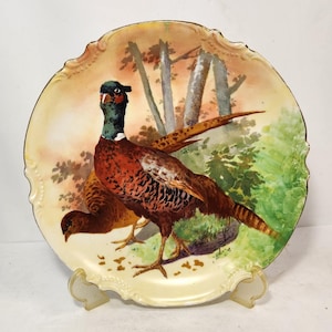 Antique Limoges Pheasant Plate: Hand-Painted French Porcelain Wall Decor