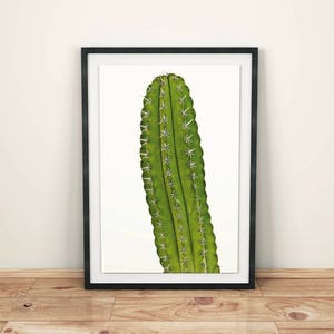 Kaktus, tropisch, moderne Kunstposter print, Natur-Kunst-Digital-Dateien-INSTANT-DOWNLOAD
