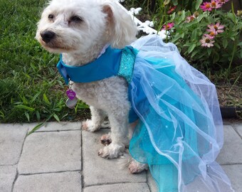 elsa dog costume