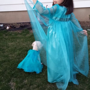 Puede incluir: Una ni&ntilde;a con un vestido turquesa de manga larga y una capa transparente posa al aire libre. Un perro peque&ntilde;o lleva un vestido a juego. La ni&ntilde;a lleva una diadema blanca con una flor.