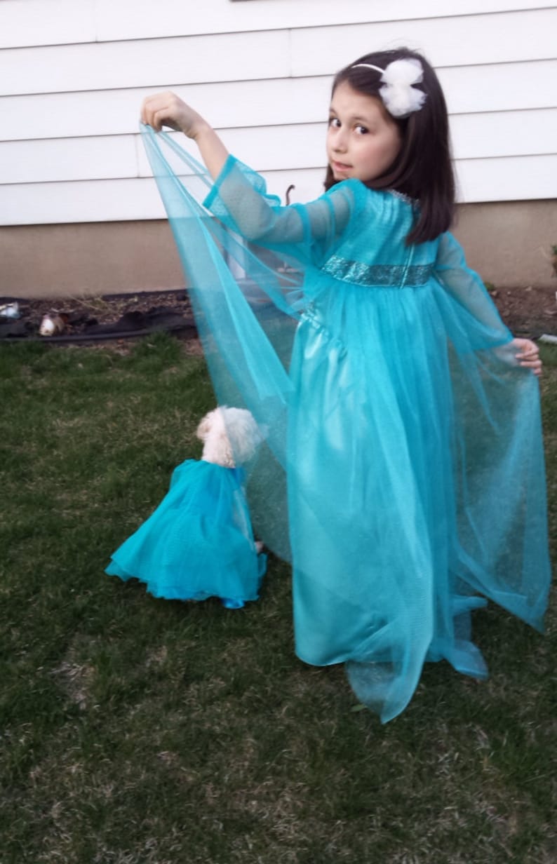 Puede incluir: Una ni&ntilde;a con un vestido turquesa de manga larga y una capa transparente posa al aire libre. Un perro peque&ntilde;o lleva un vestido a juego. La ni&ntilde;a lleva una diadema blanca con una flor.