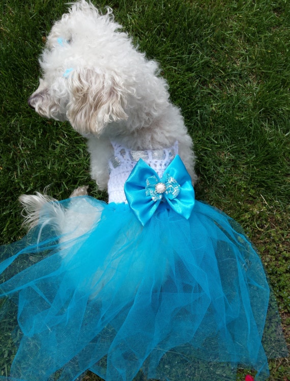 elsa dog costume