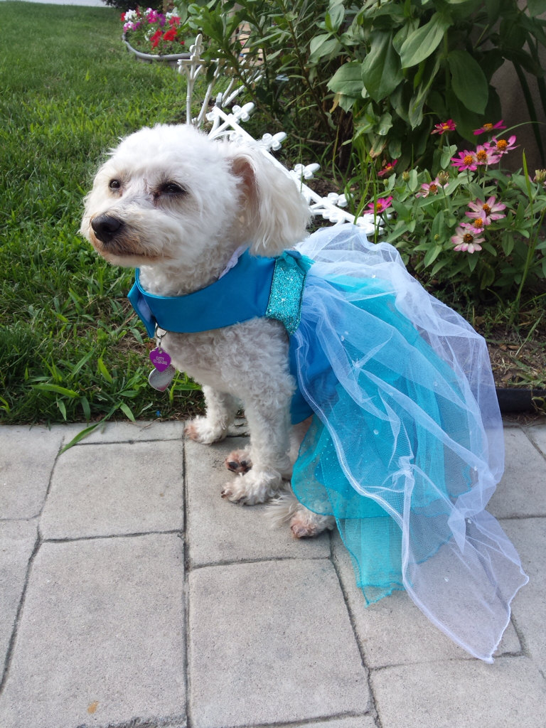 Vestido De Perrito Elsa Etsy Canada