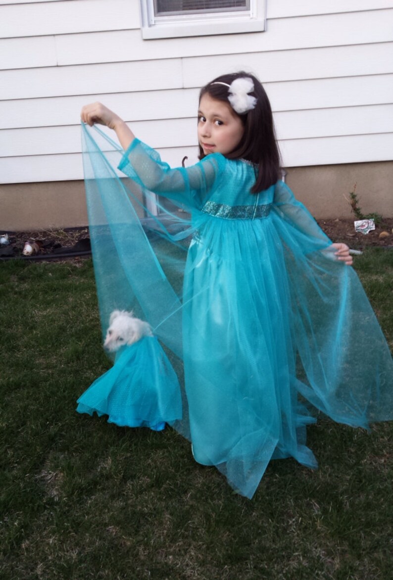 Puede incluir: Una ni&ntilde;a peque&ntilde;a con un vestido turquesa con mangas transparentes y una capa a juego. Un perro blanco peque&ntilde;o tambi&eacute;n lleva un vestido turquesa a juego. La ni&ntilde;a est&aacute; de pie sobre hierba verde.