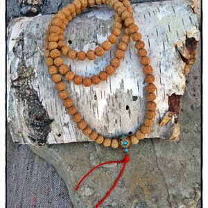 Rudraksha Mala mit Tibetperle