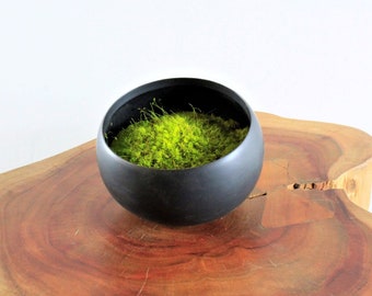 Preserved Moss in Modern Black Asymmetrical Ceramic Bowl