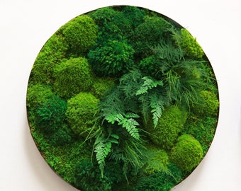 Plant Painting®- No Care Green Wall Art. Real Preserved Plants. Whiskey Round