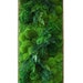 Molly Brosius reviewed 40" x 18" LARGE Real Preserved Moss & Ferns in Reclaimed Wood Frame. Plant Painting®- No Care Green Wall Art.