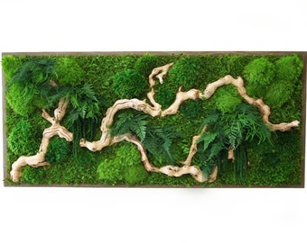Preserved Moss Wall Art: Sandwood, Ferns, Reclaimed Wood (40" x 18")