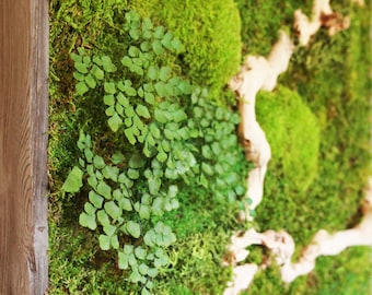 Artisan Moss Wall Art: Sandwood Fern Plant Painting (18x18)