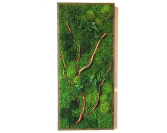 Preserved Moss Wall Art: Natural Branches, Ferns (40" x 18")