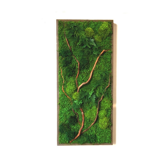 Preserved Moss Wall Art: Natural Branches, Ferns (40" x 18")
