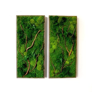 May include: Two rectangular framed moss wall art pieces with green moss and brown branches. The frames are a light gray color.
