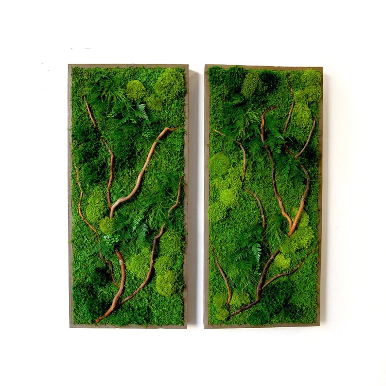 May include: Two rectangular framed moss wall art pieces with green moss and brown branches. The frames are a light gray color.