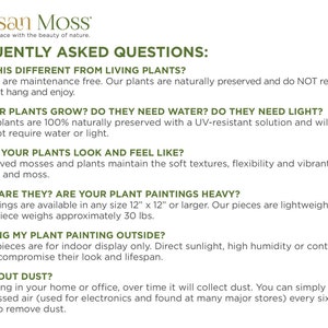 May include: Frequently asked questions about preserved moss and plant wall art. The text explains that the pieces are maintenance free, do not require water or light, and are lightweight. The text also mentions that the pieces are available in sizes up to 72 inches by 36 inches and weigh approximately 30 pounds.