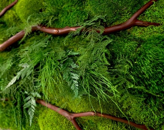 May include: A green moss wall art piece with a brown branch design. The moss is a mix of different shades of green and the branch is a natural brown color.