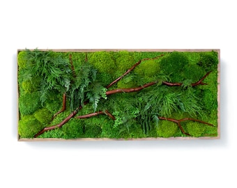 40" x 18" Artisan Moss® Real Preserved Plant Painting® - Red Branch Style - No Care Green Moss Wall Art.