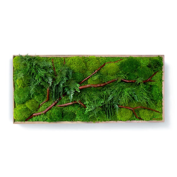 40" x 18" Artisan Moss® Real Preserved Plant Painting® - Red Branch Style - No Care Green Moss Wall Art.