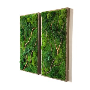 May include: Two rectangular framed wall art pieces with preserved moss and branches. The frames are made of wood and have a natural finish.