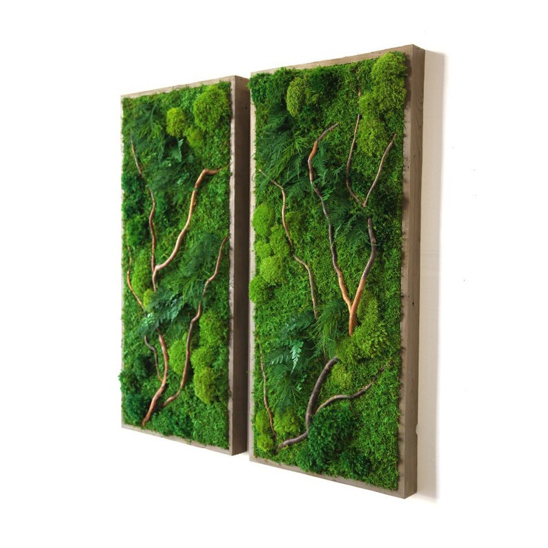 May include: Two rectangular framed wall art pieces with preserved moss and branches. The frames are made of wood and have a natural finish.