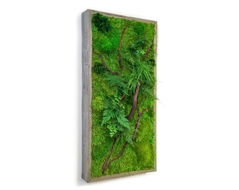 12" x 24" Artisan Moss® Plant Painting® - Red Branch Style - No Care Green Moss Wall Art. Real Preserved Plants.  Moss and Fern Art.