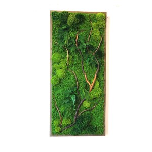 May include: A framed moss wall art piece with a natural wood frame. The moss is a variety of green shades and is arranged in a natural, organic pattern. There are several small branches and twigs incorporated into the design.