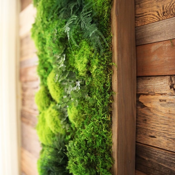 40" x 18" LARGE Real Preserved Moss & Ferns in Wood Frame. Plant Painting®- No Care Green Wall Art.