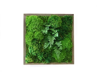 12"x12" Artisan Moss® Plant Painting® Moss and Ferns. No Maintenance Green Wall Art. Real Preserved Plants.