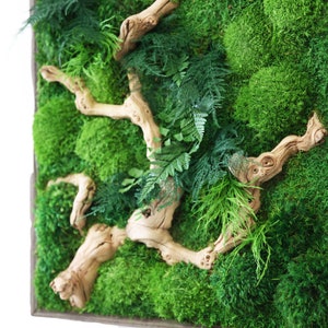 24&quot; x 24&quot; Plant Painting® - Sandwood Branch Style - No Care Green Wall Art. Real Preserved Plants.
