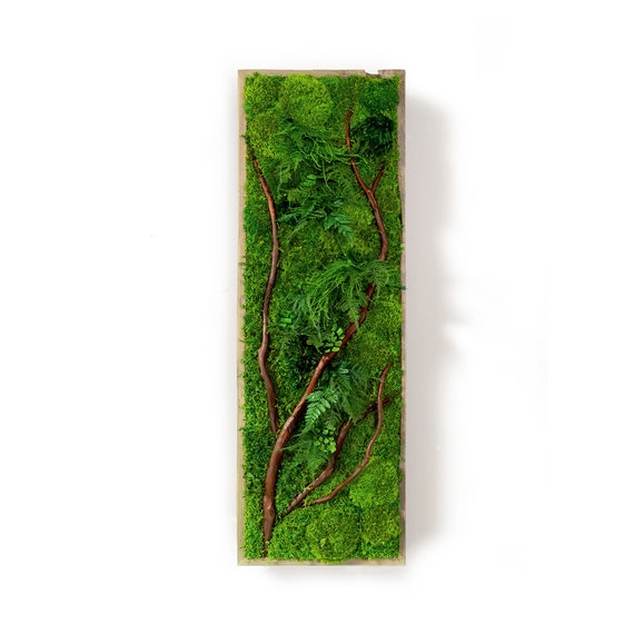 Living Walls vs. Preserved Moss Walls - Artisan Moss - Artisan Moss