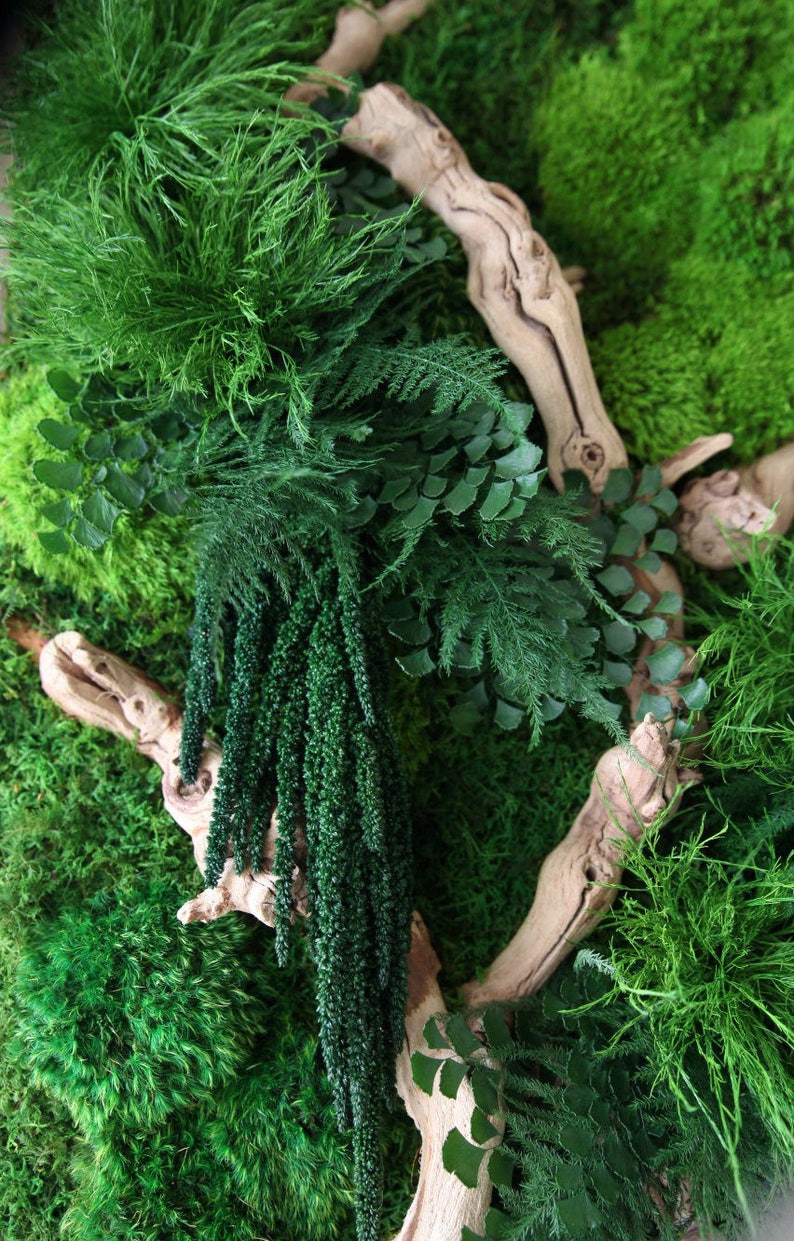 40 x 18 Artisan Moss® Real Preserved Plants in image 2