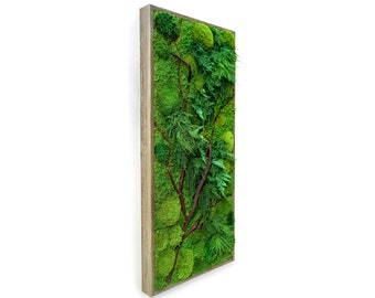 18" x 40" Artisan Moss® - Red Branch - Real Preserved Plants in Wood Frame Plant Painting®- No Care Green Moss Wall Art.