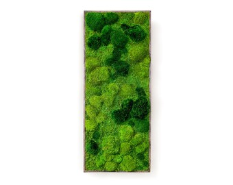 20" x 48" Artisan Moss® Plant Painting®- No Care Moss Wall Art. Real Preserved Plants.  Moss Art. -Concept Piece-