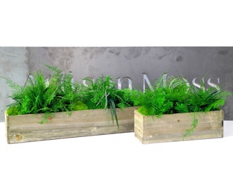 Set of 2 Wooden Planter Boxes With Preserved Moss and Ferns - No Watering